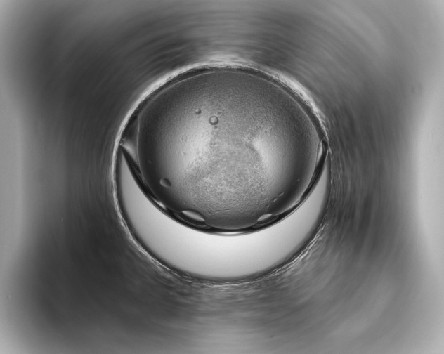 X0000094351335200711021426