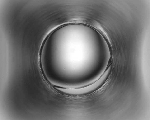 X0000094351336200711021426