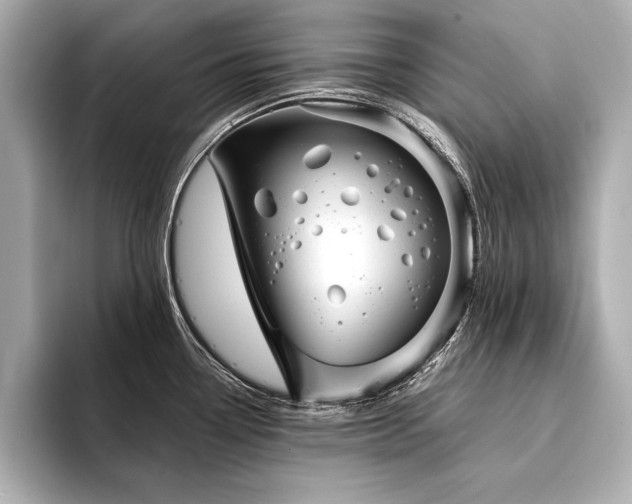 X0000094351338200711021426