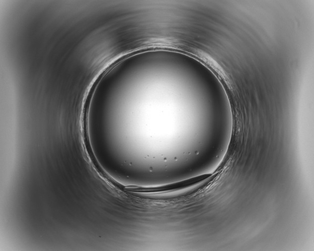 X0000094351339200711021426