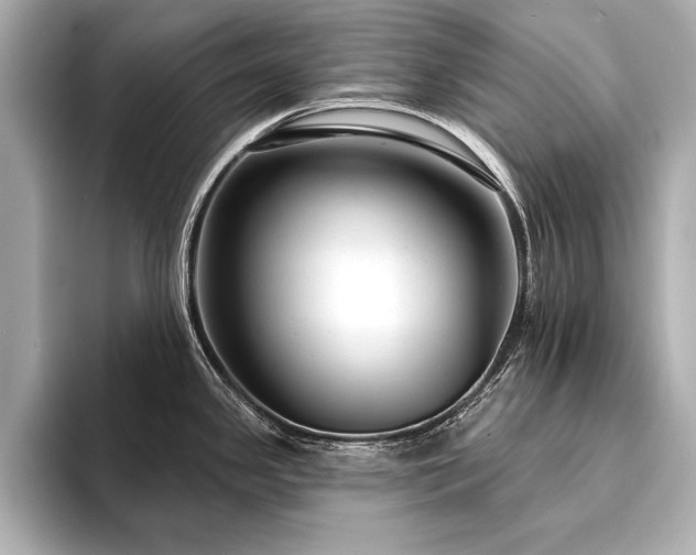 X0000094351341200711021426
