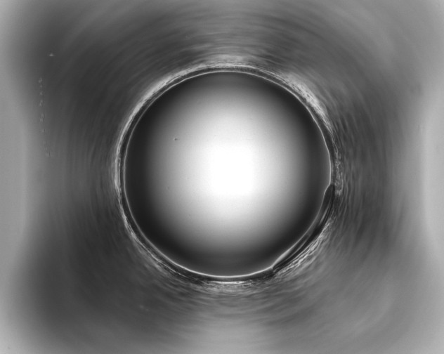 X0000094351342200711021426