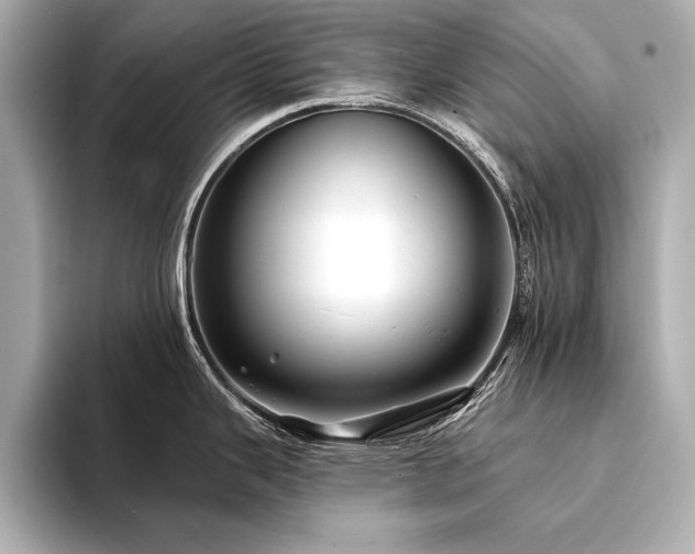 X0000094351343200711021426