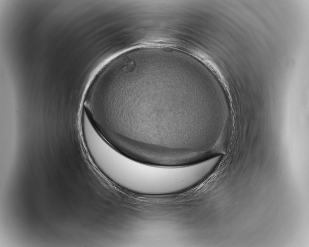 X0000094351344200711021426
