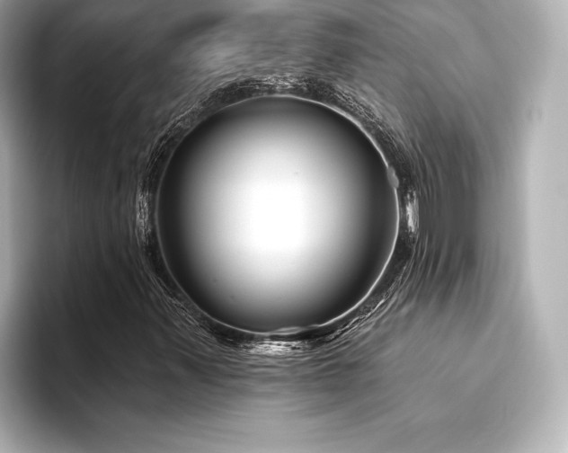 X0000094351347200711021425