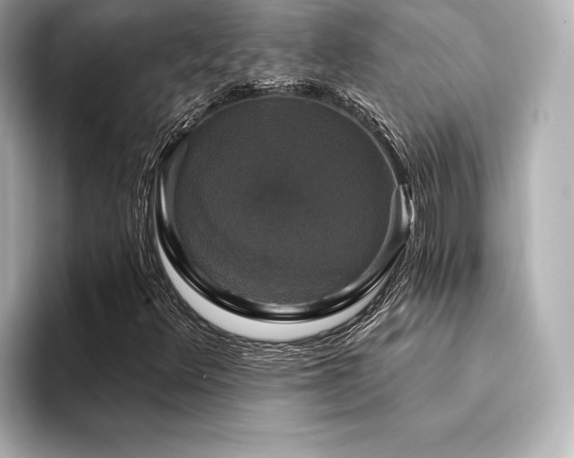 X0000094351348200711021425