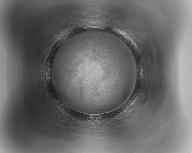 X0000094351350200711021425