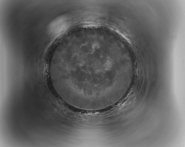 X0000094351351200711021425
