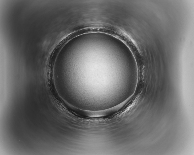 X0000094351352200711021425