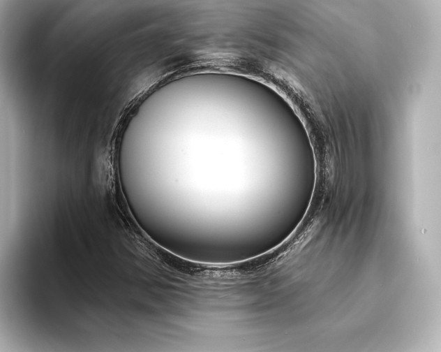 X0000094351354200711021425