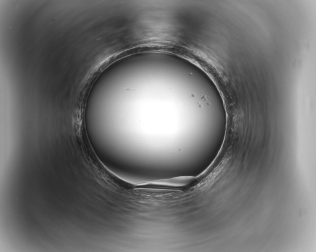 X0000094351355200711021425