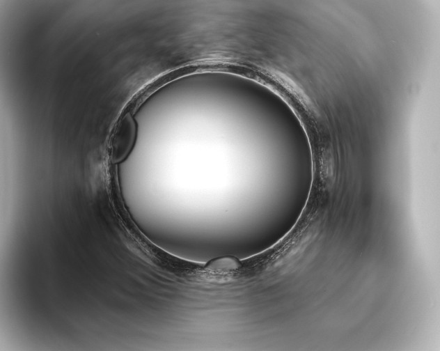 X0000094351356200711021425