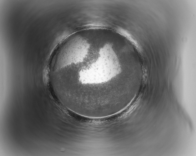 X0000094351357200711021425
