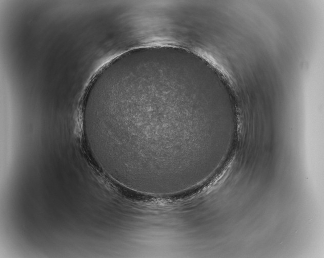 X0000094351358200711021425