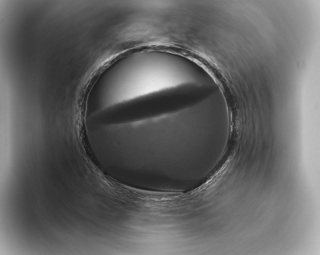 X0000094351359200711021425