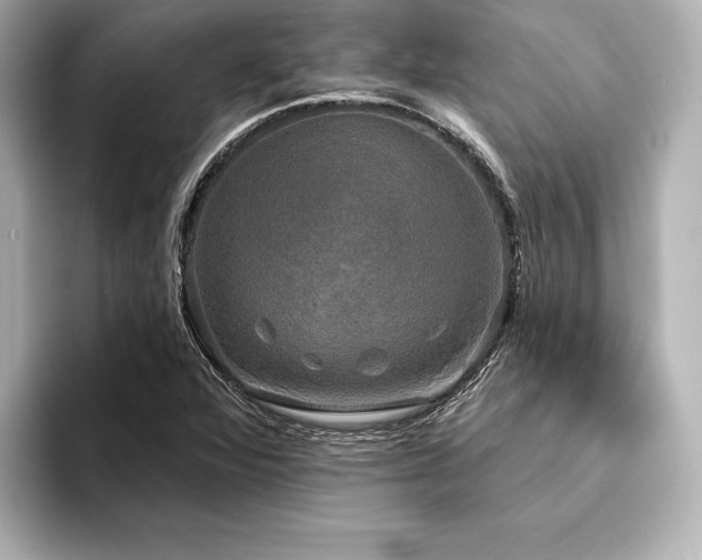 X0000094351360200711021425