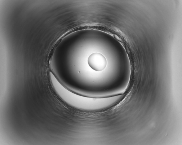 X0000094351361200711021425