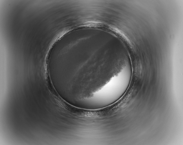 X0000094351362200711021425