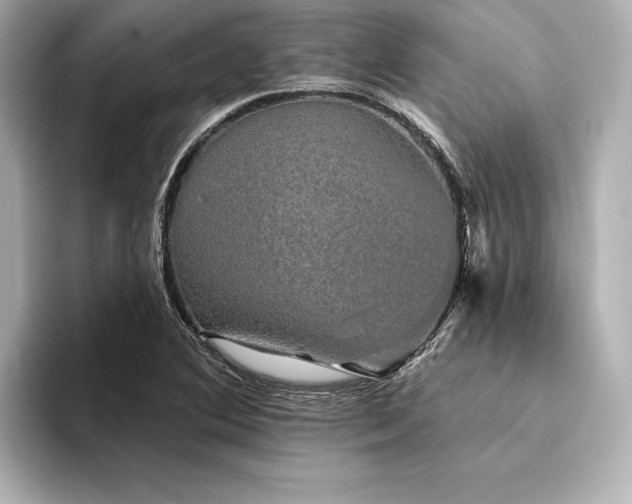 X0000094351364200711021425