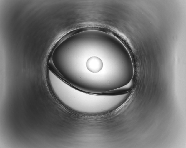 X0000094351365200711021425