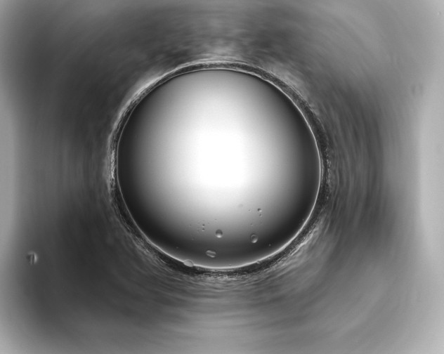 X0000094351366200711021425