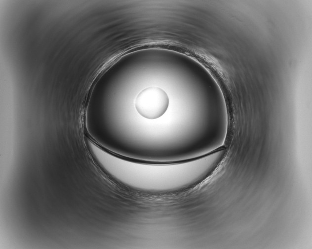 X0000094351369200711021425