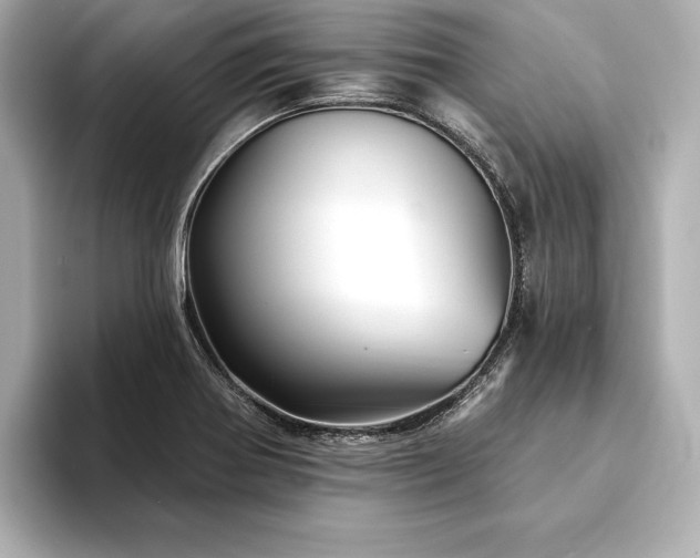 X0000094351370200711021425