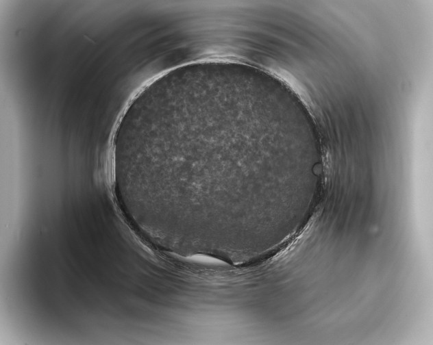 X0000094351371200711021425