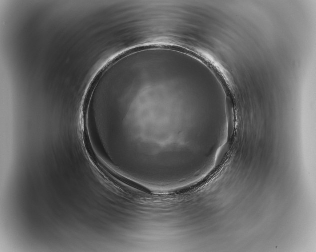 X0000094351372200711021425