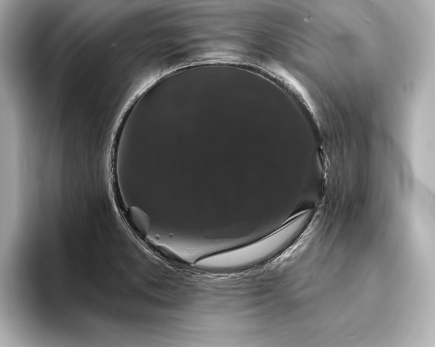 X0000094351373200711021425