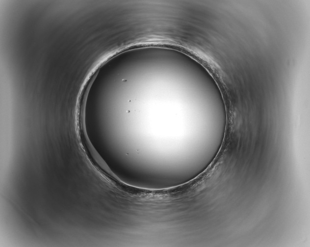 X0000094351374200711021425