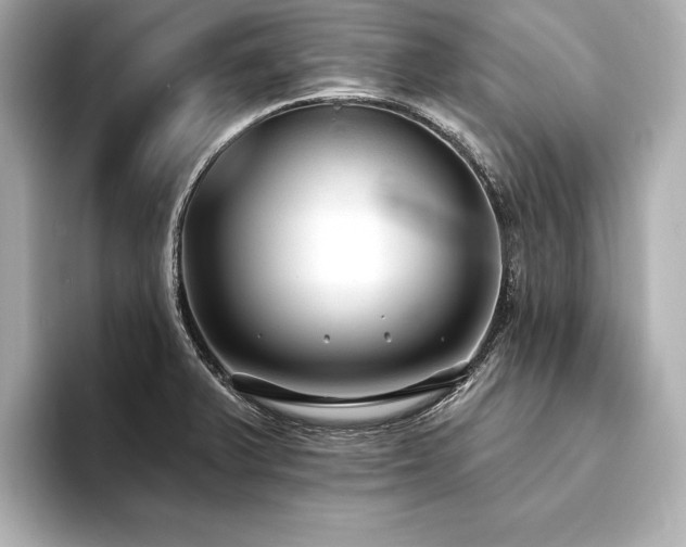 X0000094351375200711021425
