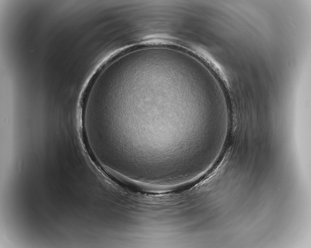X0000094351376200711021425