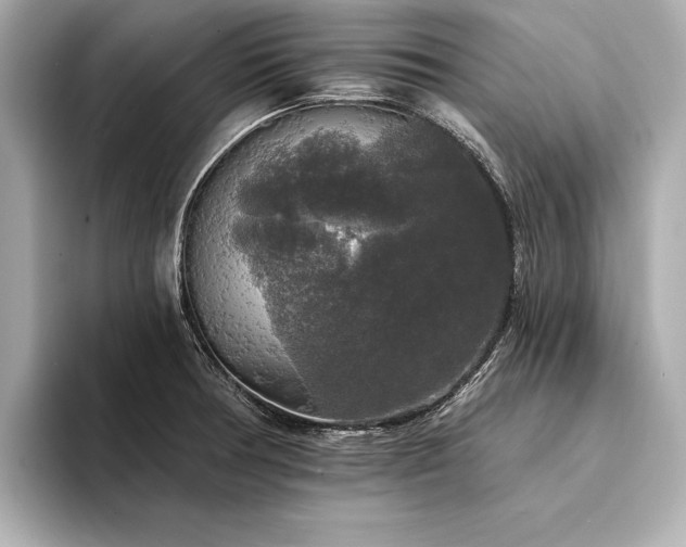 X0000094351378200711021425