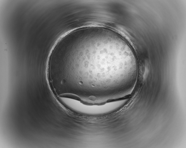X0000094351379200711021425