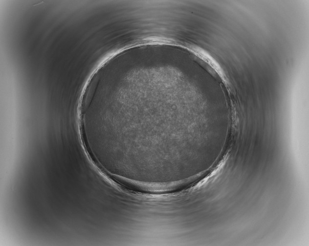 X0000094351381200711021425