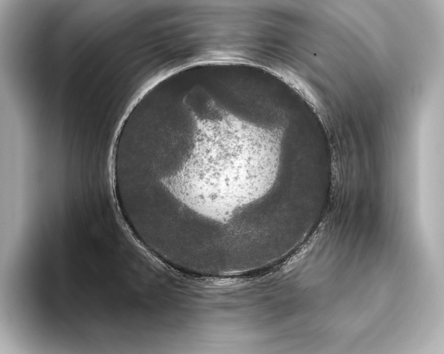 X0000094351382200711021425