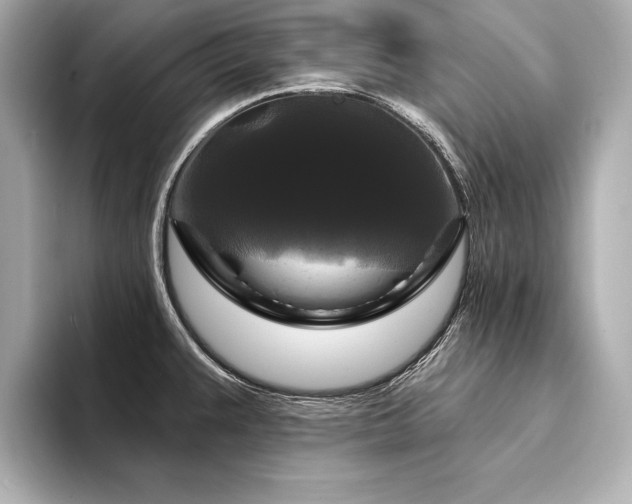 X0000094351383200711021425