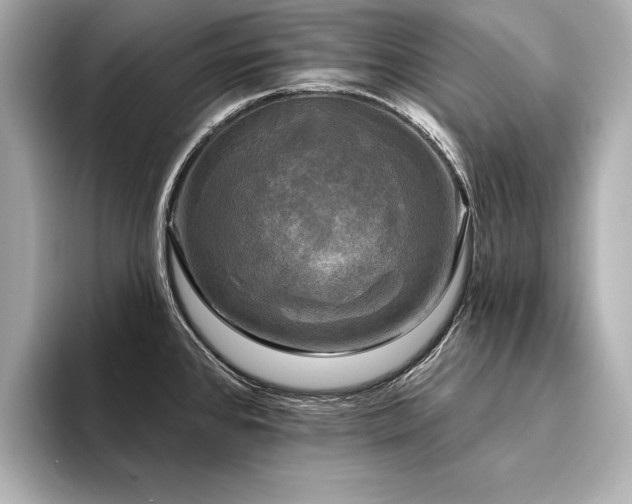 X0000094351384200711021425