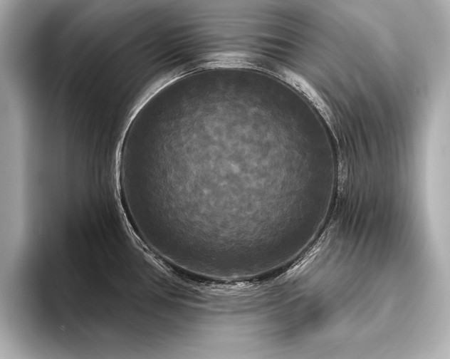 X0000094351386200711021425
