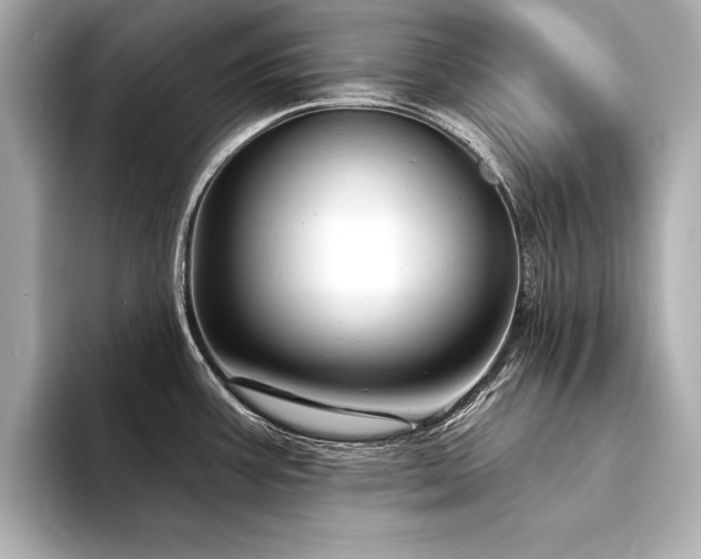 X0000094351387200711021425