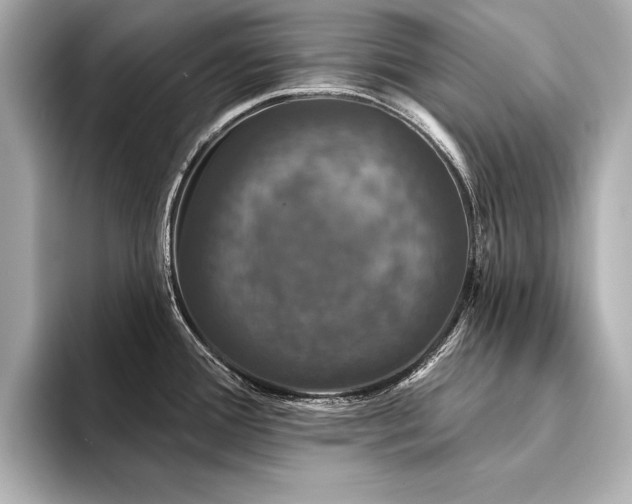 X0000094351388200711021425