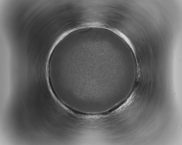 X0000094351389200711021425
