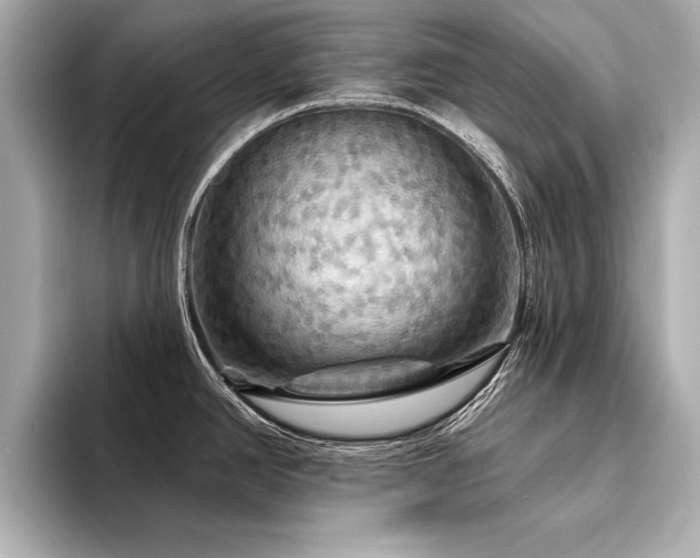 X0000094351390200711021425