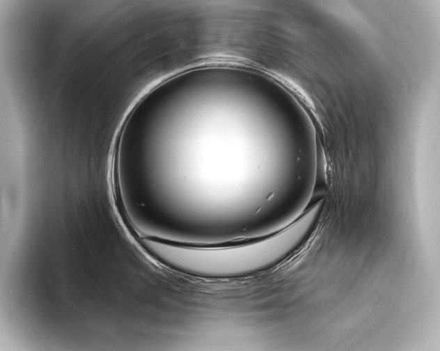 X0000094351391200711021425
