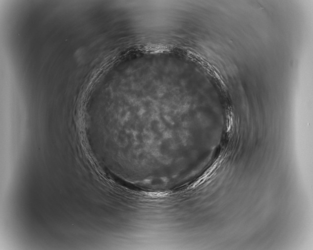 X0000094351393200711021424