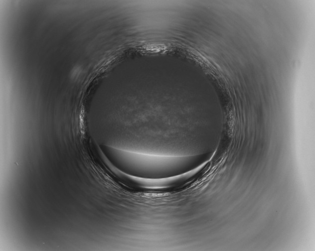 X0000094351394200711021424
