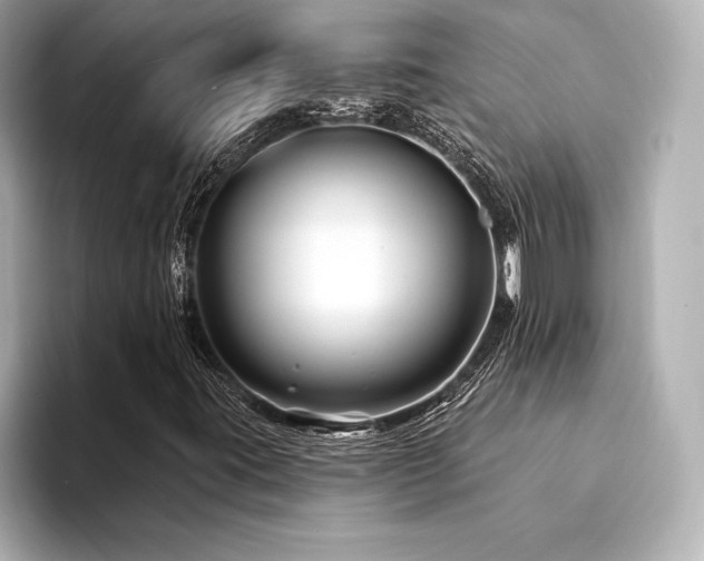 X0000094351395200711021424
