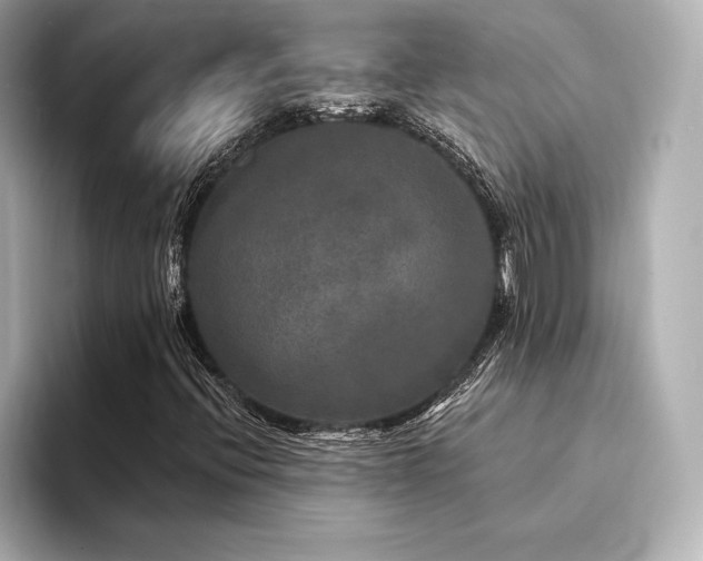 X0000094351396200711021424