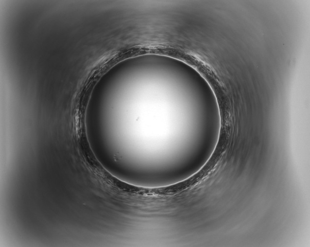 X0000094351398200711021424